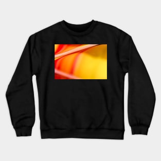 Orange and Yellow Oil and Water Crewneck Sweatshirt